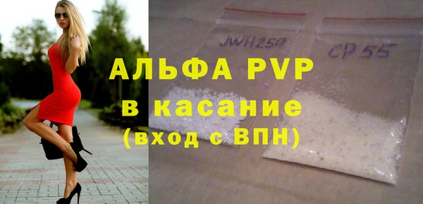прущие грибы Долгопрудный
