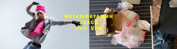 прущие грибы Долгопрудный