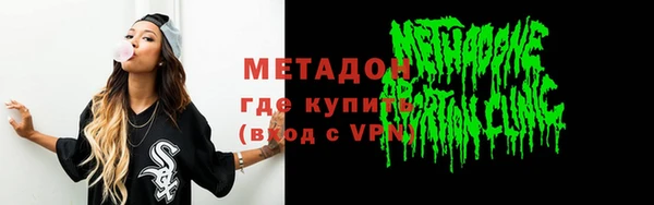 прущие грибы Долгопрудный