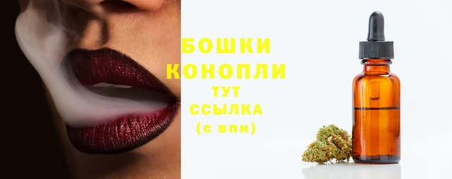 прущие грибы Долгопрудный