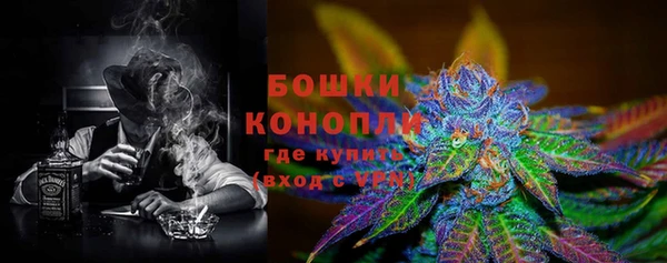 гидра Чекалин