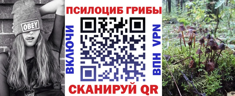 Псилоцибиновые грибы Psilocybine cubensis  купить наркотик  KRAKEN онион  Дивногорск 