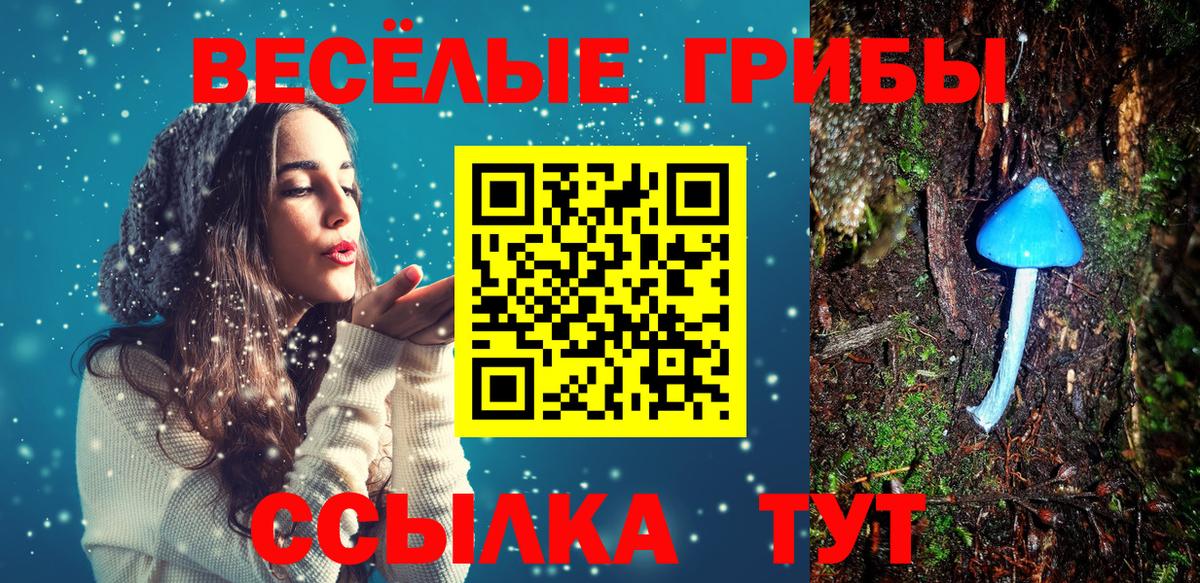 как найти наркотики  Галлюциногенные грибы ЛСД  Вход с VPN  Дивногорск  Псилоцибиновые грибы ЛСД 